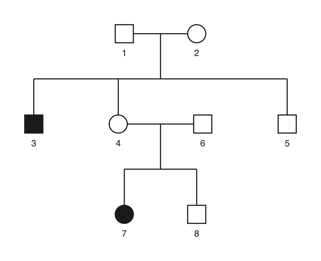 Family tree. Unaffected parents, male 1 and female 2, have three children: affected son 3, unaffected daughter 4 and unaffected son 5. Daughter 4 and unaffected male 6 have an affected daughter, 7, and an unaffected son, 8.